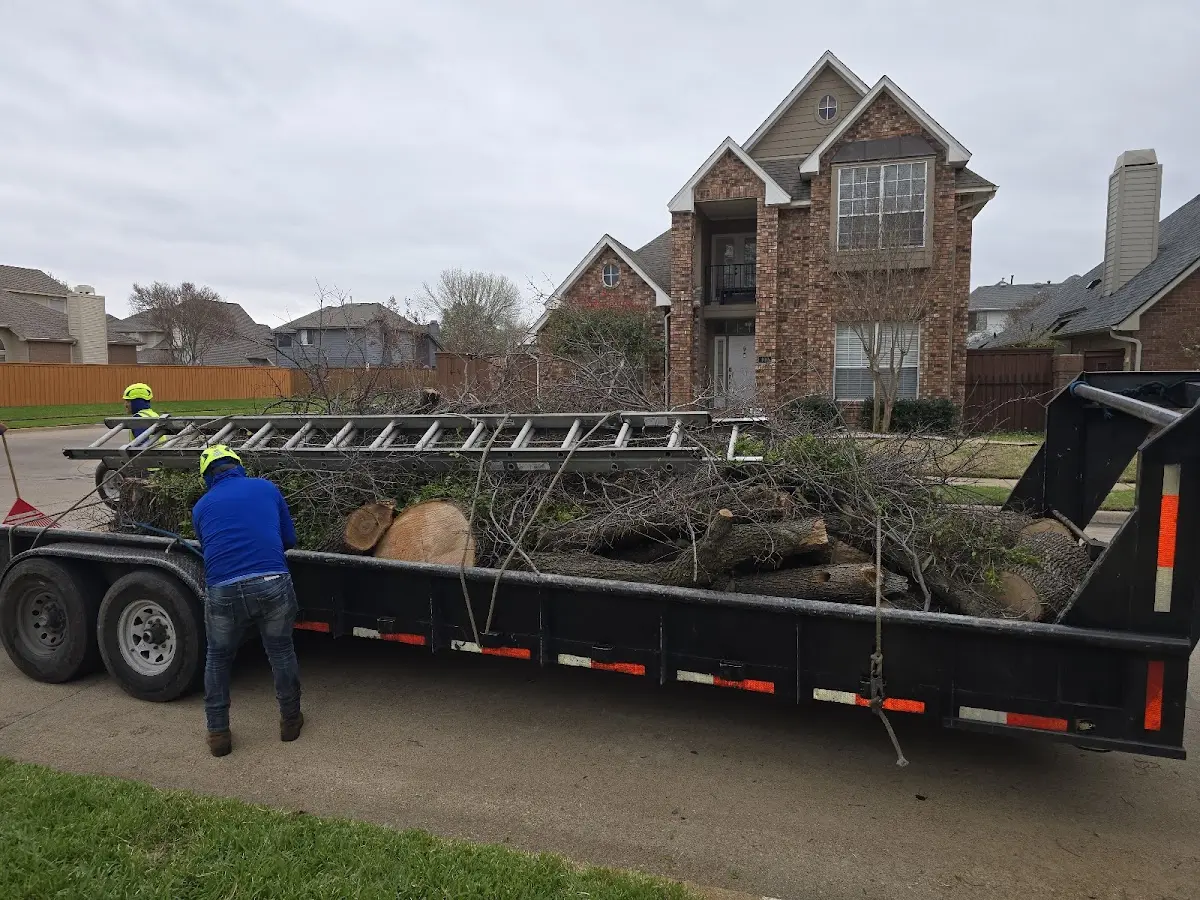Expert Tree Fertilization with proper safety equipment in Feura Bush